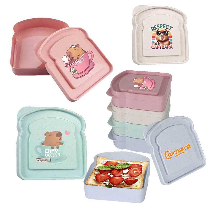 카피바라 샌드위치 음식 보관 케이스 컨테이너 샐러드 과 - Food Storage With Dividers 리뷰 및 가격