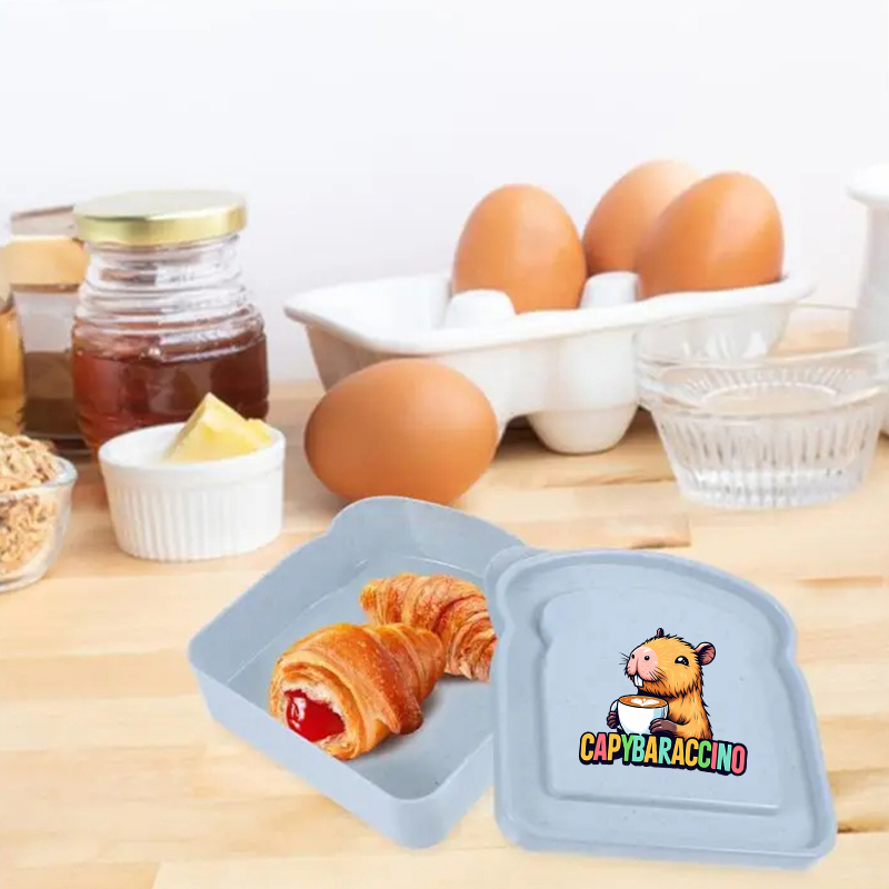 카피바라 샌드위치 음식 보관 케이스 컨테이너 샐러드 과 - Food Storage With Dividers 리뷰 및 가격