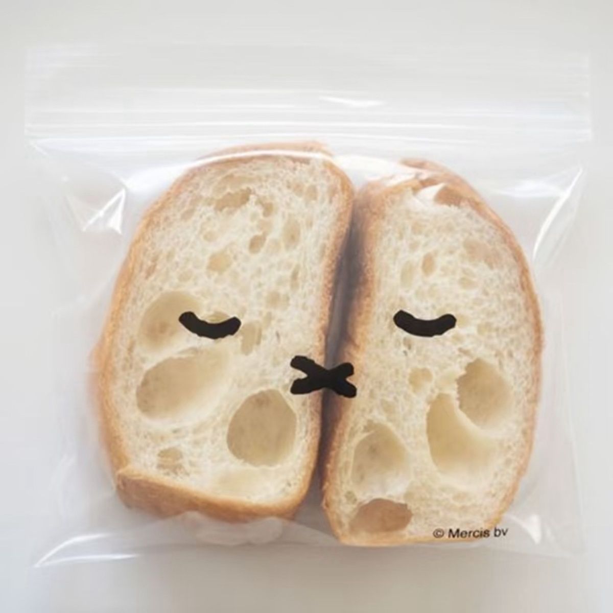 신선도 유지 보관백 식품 밀봉 파우치 냉장고 정리용 칸 - Food Storage With Dividers 리뷰 및 가격
